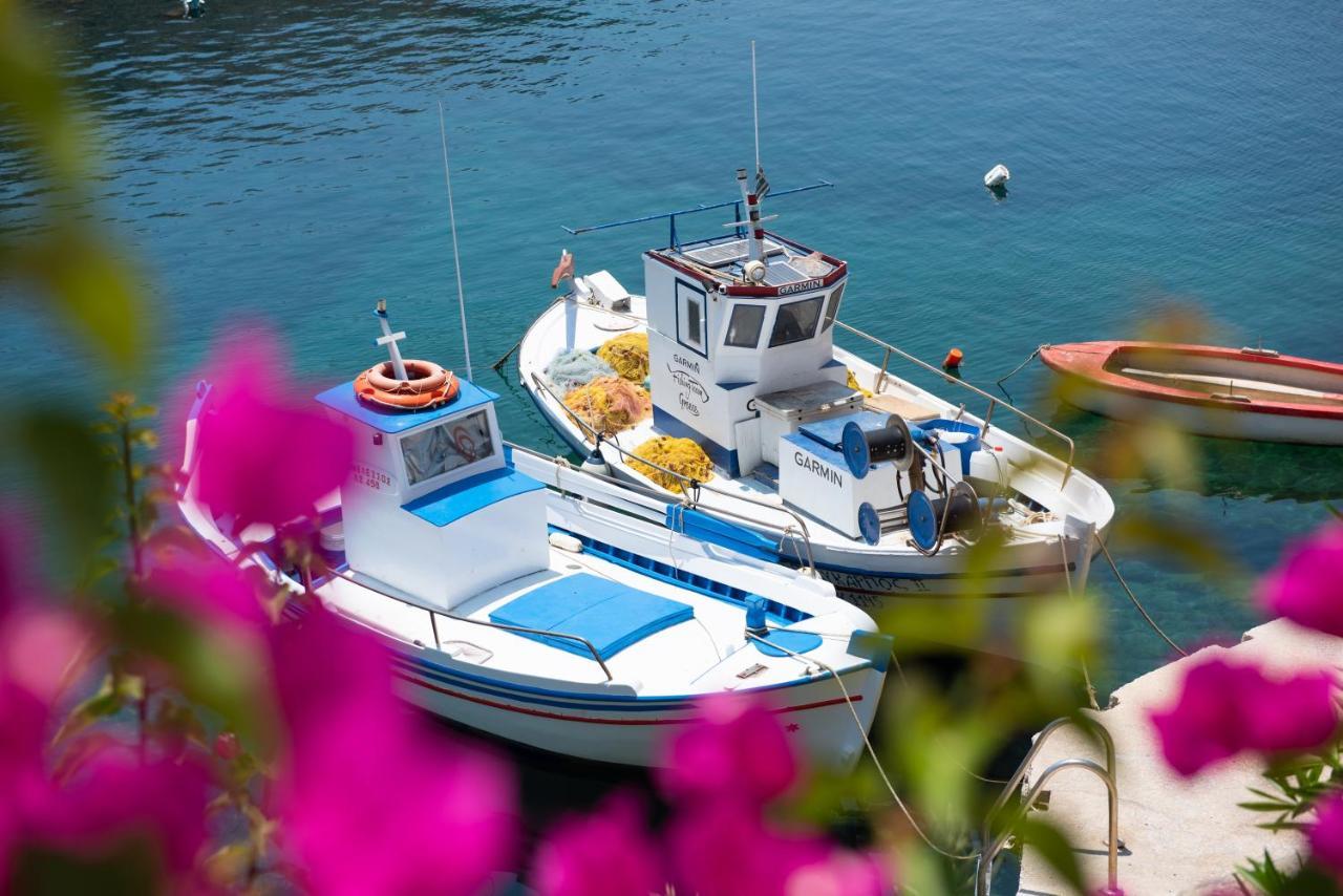Cherronisos  Psarona Hospitalityゲストハウス エクステリア 写真